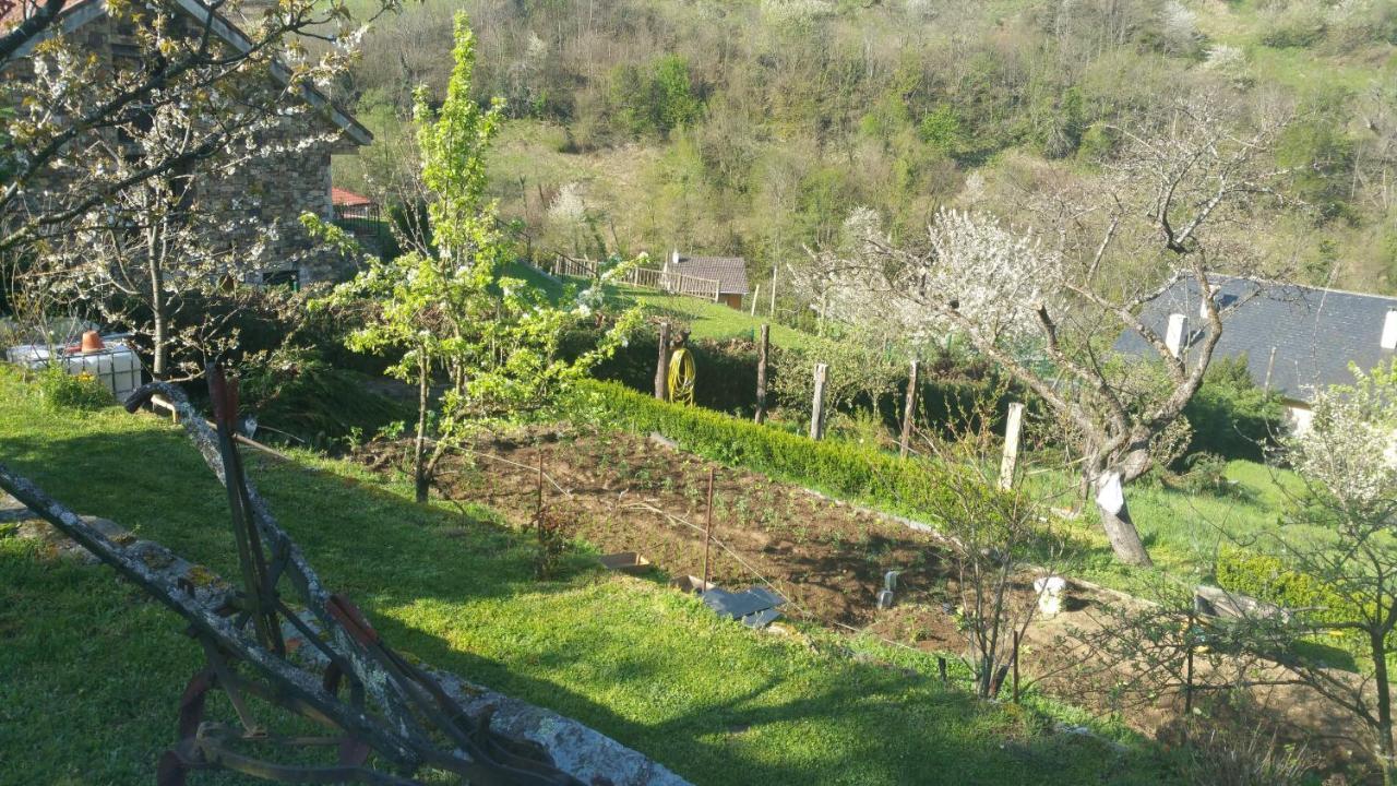 Villa La Pumarada De Limes 2, Leitariegos Cangas De Narcea Exterior foto